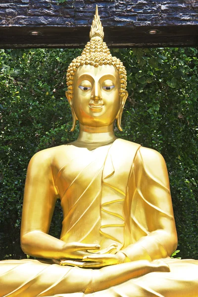 Zlatá socha Buddhy v zahradě — Stock fotografie