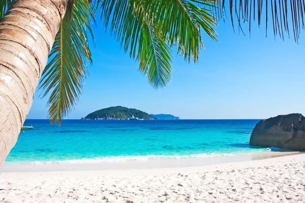 Playa tropical de arena blanca con palmeras — Foto de Stock