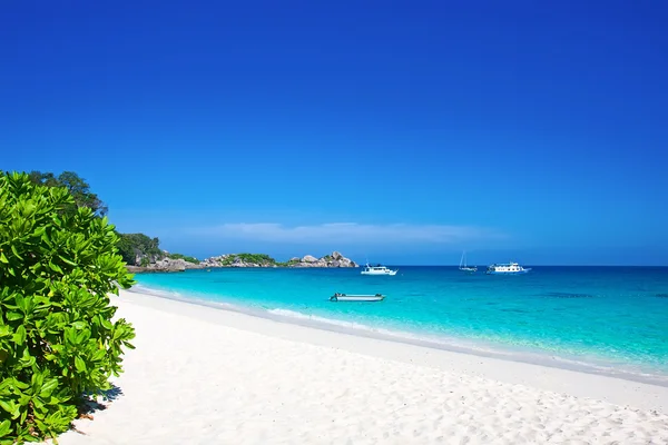 Tropische wit zand strand — Stockfoto