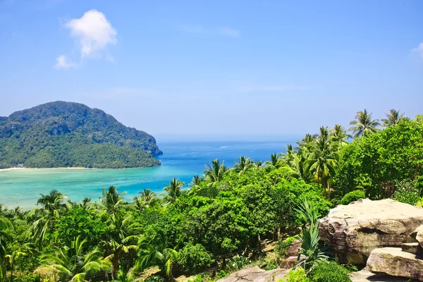 Uitzicht vanaf het hoogste punt van phi phi eiland in thailand — Stockfoto