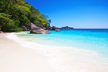 tropikal beyaz kum plaj arainst mavi gökyüzü