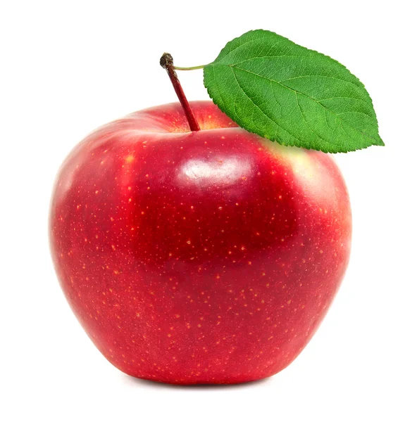 Färskt rött äpple — Stockfoto