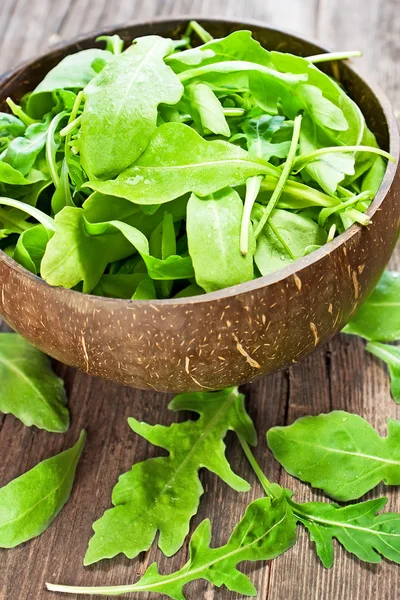 Salada de arugula fresca — Fotografia de Stock