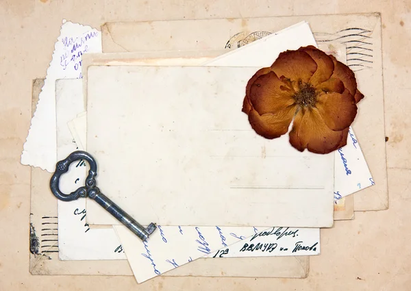 Vieilles lettres, cartes postales vides et rose séchée — Photo