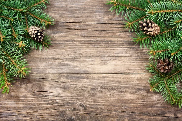 Christmas fir tree on a wooden background Stock Image