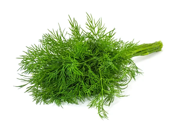 Färsk dill — Stockfoto