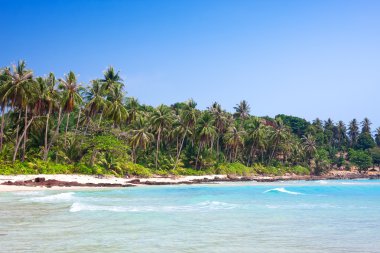 beyaz kum plaj tropikal palmiye ağaçları ile. Koh kood, Tayland