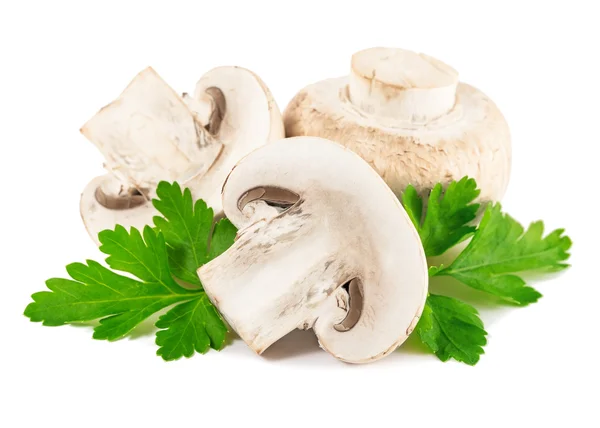 Champignon mushroom with parsley — Stock Photo, Image