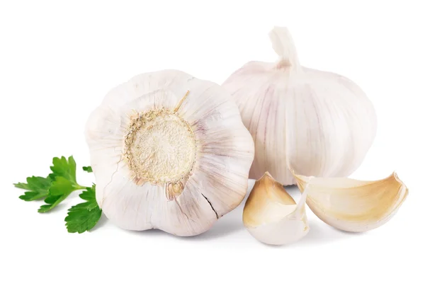 Garlic with parsley leaves — Stock Photo, Image