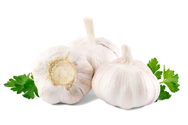 Garlic with parsley leaves on a white background — Stock Photo, Image