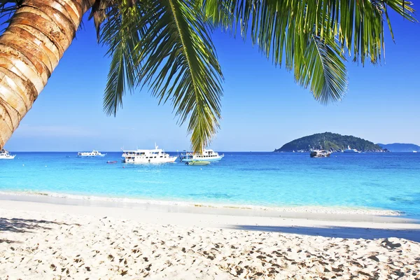 Spiaggia tropicale di sabbia bianca — Foto Stock