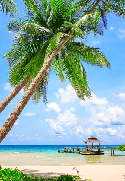 Areia branca tropical com palmeiras — Fotografia de Stock