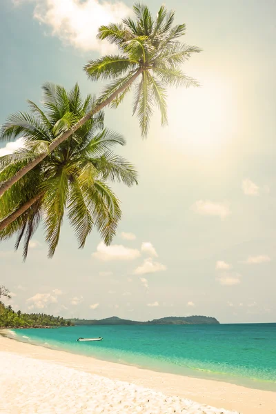 Tropischer weißer Sand mit Palmen — Stockfoto