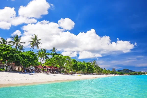 Тропічний білий пісок з пальмами — стокове фото