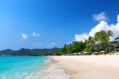 Görünüm chaweng beach, koh samui, Tayland