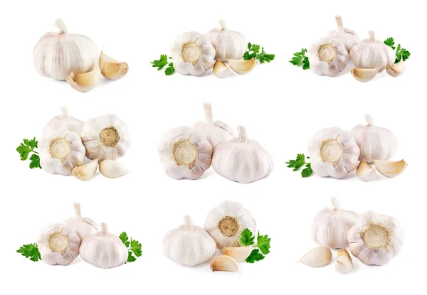 Garlic on a white background — Stock Photo, Image