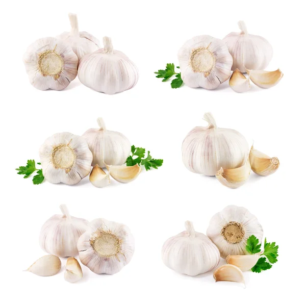 Garlic on a white background — Stock Photo, Image