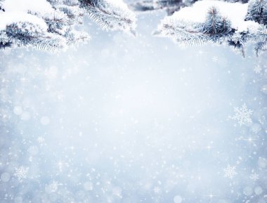 Kış köknar ağacı, güneş ışığıyla Noel sahnesi. Karla kaplı Firavun dalları. Noel kışı, kar taneleriyle bulanık arka plan, bayram festivali geçmişi. 