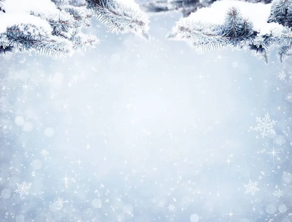 冬天的冷杉树 阳光普照的圣诞场景 被雪覆盖的冷杉树枝 圣诞节的背景很模糊 有雪花 有节日的背景 — 图库照片