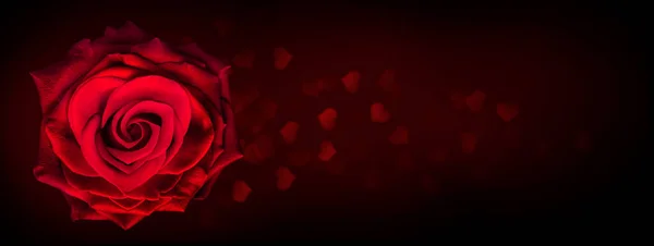 Röd Ros Blomma Hjärtform Mörk Bakgrund Med Hjärtformad Bokeh Ljus — Stockfoto