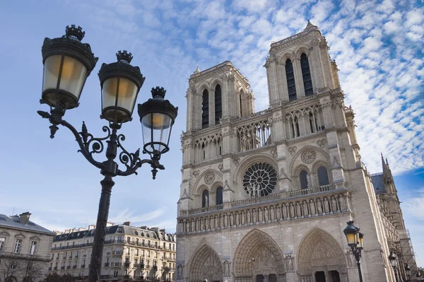 Notre Dame Cathedral - Paris — Stock Photo, Image