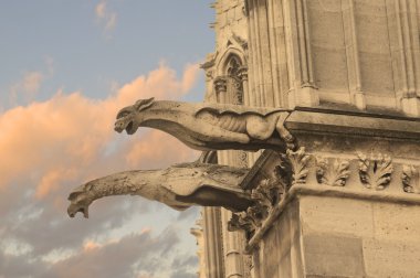 gargoyles notre Dame