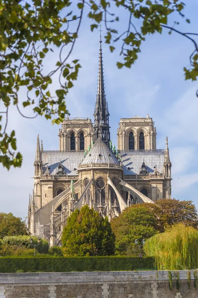 Catedral de Notre Dame, París, Francia. —  Fotos de Stock