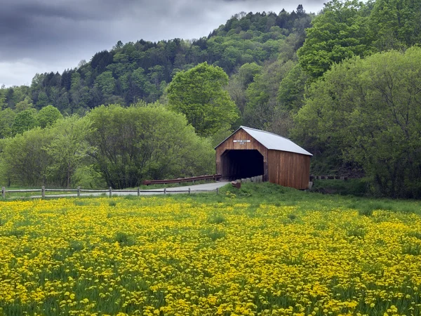 New england overdekt bruggetje — Stockfoto