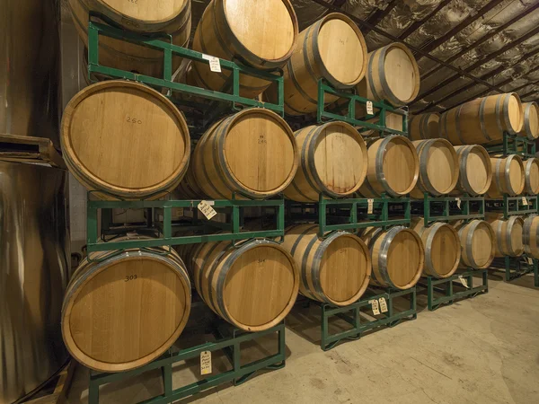 Wine barrels — Stock Photo, Image