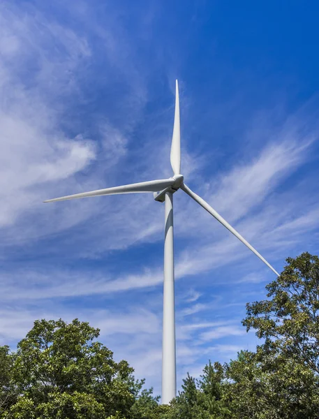 Turbina eólica na floresta — Fotografia de Stock