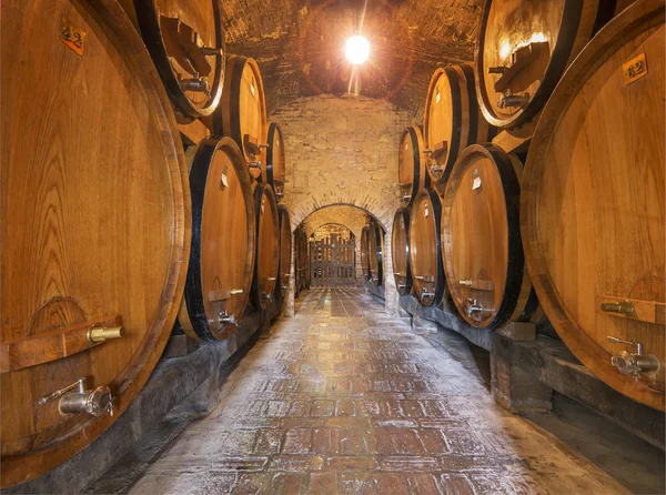Barris de vinho de carvalho na adega — Fotografia de Stock