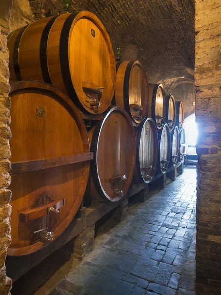 Oak wine barrels — Stock Photo, Image
