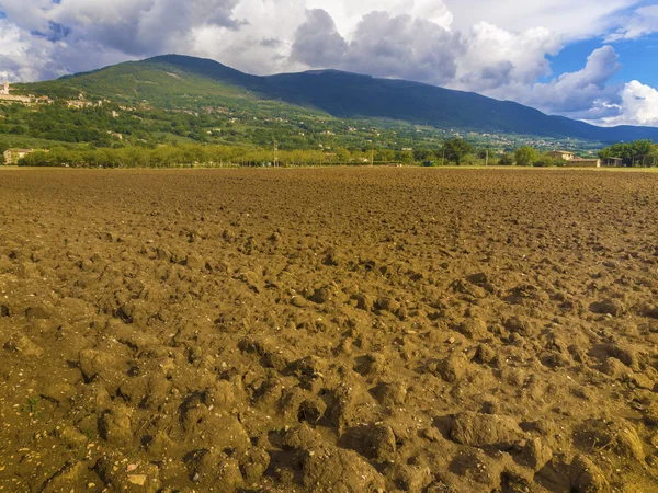 Campo agrícola fluido — Foto de Stock