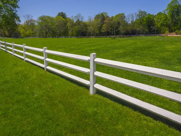 Cerca blanca sobre hierba verde — Foto de Stock