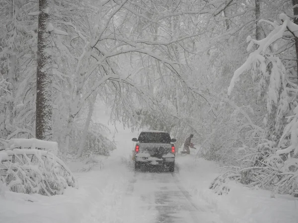 Arado Nieve Conductor Cortar Madera Una Tormenta Nieve — Foto de Stock