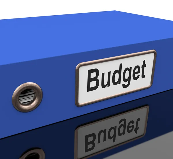 Budget File With Report On Spending Plan — Stock Photo, Image