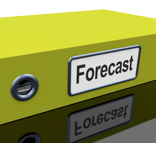 Forecast File Shows Company Direction And Targets — Stock Photo, Image