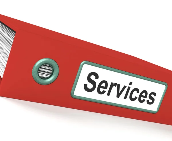 Services File Contains Service Information — Stock Photo, Image