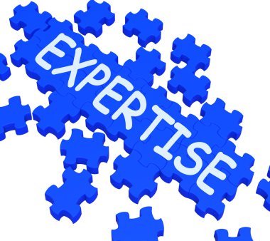 Expertise Puzzle Showing Excellent Skills clipart