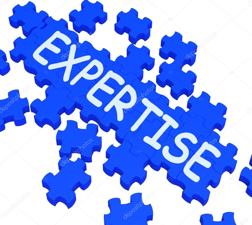 Expertise Puzzle Showing Excellent Skills