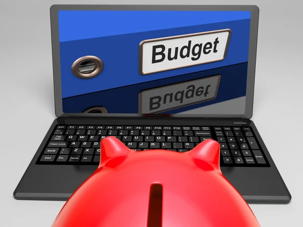 Budget visar på laptop finansiell kontroll — Stockfoto