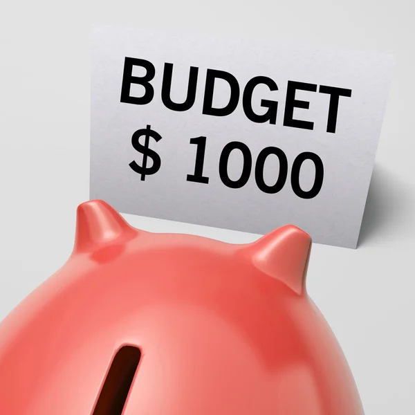 Tysiąc dolarów usd budżetu pokazuje ograniczenia — Zdjęcie stockowe