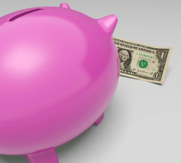 Piggy Dollars Shows Earning Cash Money Notes — Stock Photo, Image