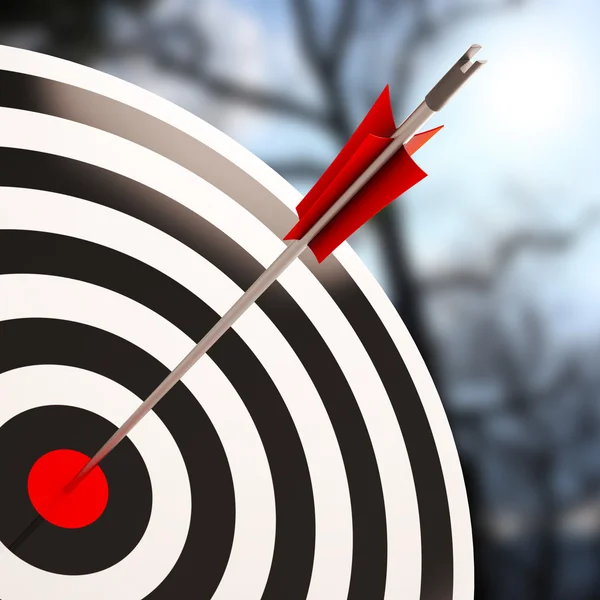 Bulls eye Shot Shows Excellence And Skill — Stock Photo, Image