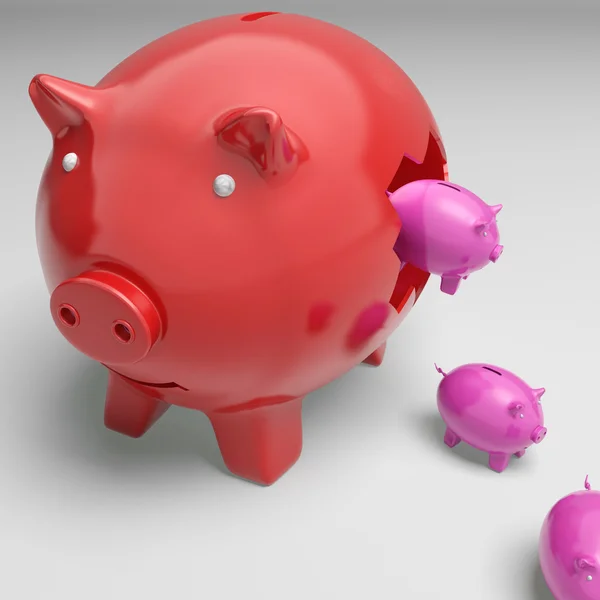 Sparschweine im Sparschwein zeigen monetäres Wachstum — Stockfoto