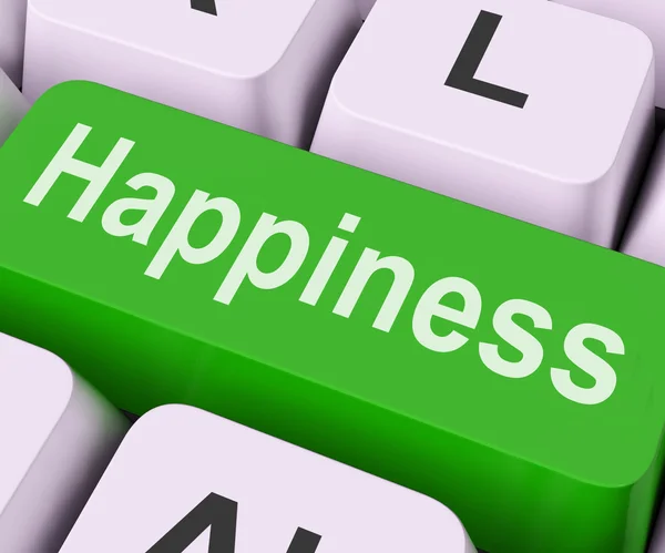 Happiness Key Means Delight Or Jo — Stock Photo, Image