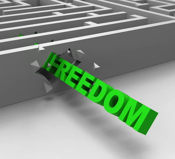 Libertà dal labirinto mostra la libertà — Foto Stock
