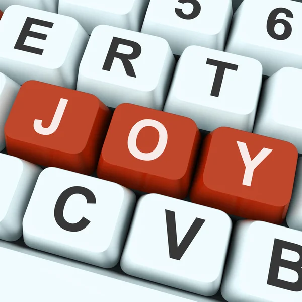 Joy Key Shows Fun Or Happines — Stock Photo, Image