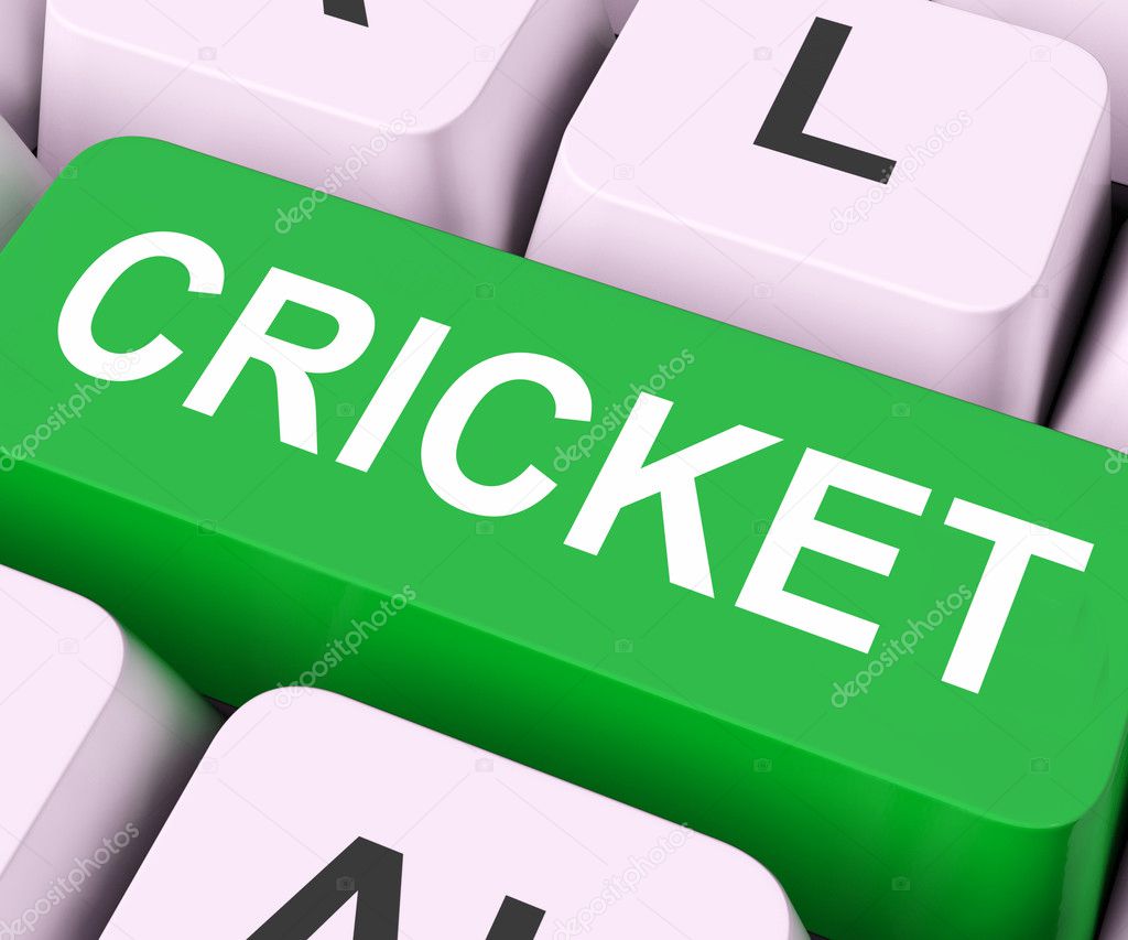Cricket Key Means Sport Or Matc