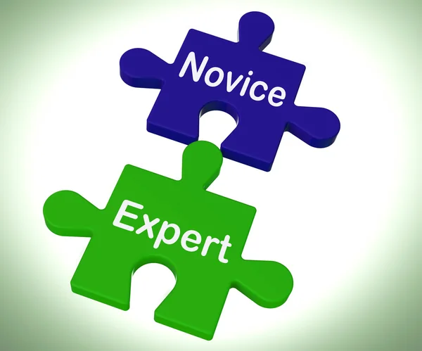 Novice Expert Puzzle mostra não qualificado e profissional — Fotografia de Stock